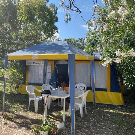 Happy Camp Mobile Homes In Karavomilos