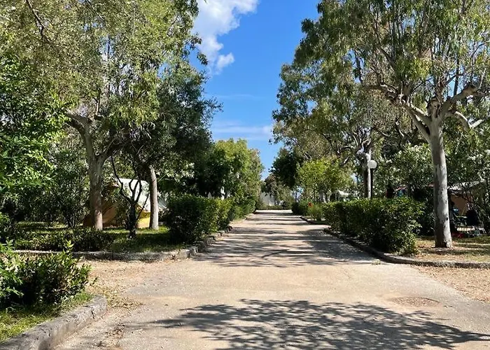 Campingplatz Happy Camp Mobile Homes In Karavomilos